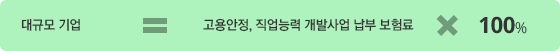 대규모 기업 = 고용안정, 직업능력 개발사업 납부 보혐료 * 100%